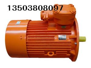 振動(dòng)篩用電機(jī)的常見(jiàn)故障與解決方案          